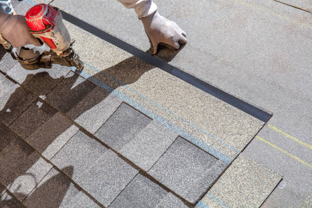 Best Roof Gutter Cleaning  in Mayfair, CA
